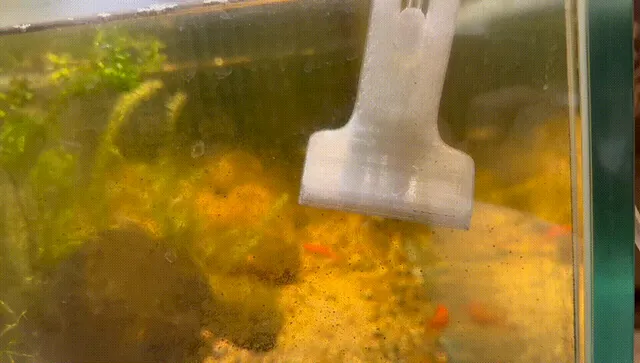 带虹吸管的刮藻刀