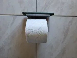 Toilet paper & phone holder