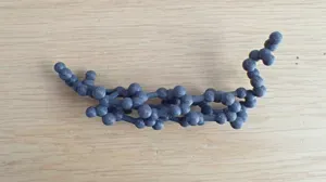 Peptide backbone of alpha helix - balls and sticks