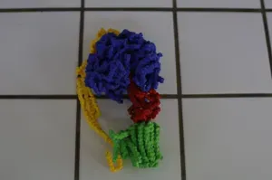 Main components - bovine mitoc ATP synthase