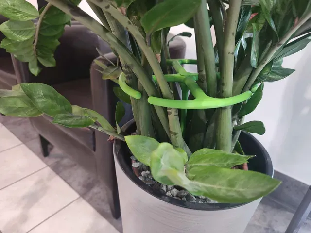 Heavy Duty Plant Support — Фото 5 из 5