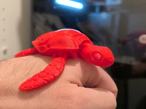 Articulated Turtle