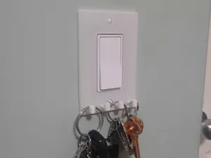 Light Switch Plate with Hooks