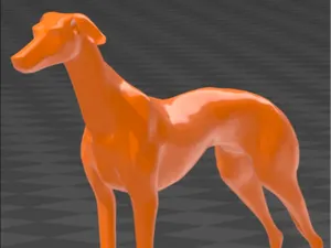 Greyhound