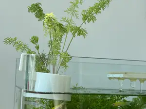 鱼缸壁挂水培组件