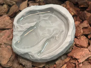爬宠霸王龙脚印水盆