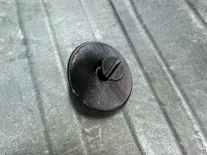 Floor Mat Screw