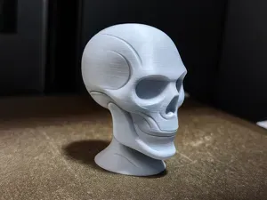 Skull (Home Decor Art)
