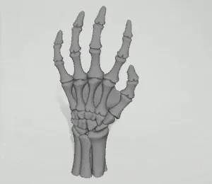 Skeletal Hand | Realistic Bone Halloween Prop