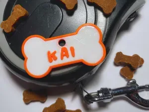 Chapa Identificativa con Forma de Hueso