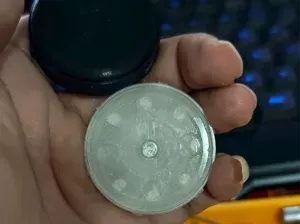 震叮（仿大乾）
