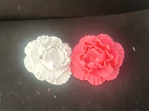 康乃馨花