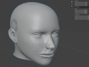 Anatomical Human Head Model
