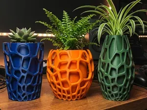 Voronoi Geometric Planter Set |Modern Flower vase