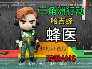 三角洲行动哈吉蜂蜂医
