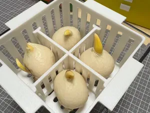 定植篮_水培郁金香百合风信子植物种球花卉_10cm方形花盆专用