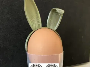 Rabbits ears for rabbits or egg