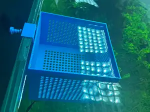 6档高度可调鱼缸隔离盒(适配≤15mm玻璃)