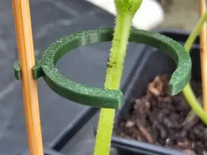 Plant clip that clips on satay skewer. Short print