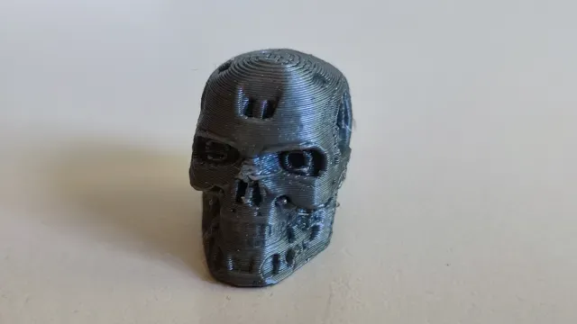 Lucky 13 T800 head — Image 2 of 3