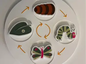 Rupsje nooitgenoeg: van ei tot vlinder