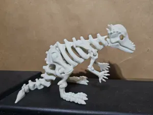 An articulated pachycephalosaurus skeleton.