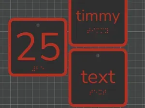 Braile-Parametric Customizable Number