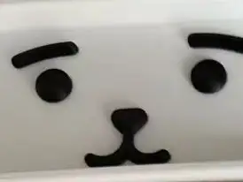 BT21-RJ