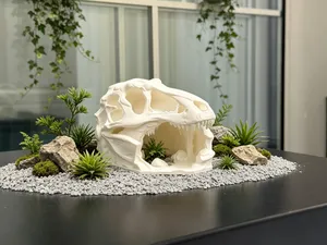 恐龙头骨 守宫小屋 爬宠小屋 守宫躲避小窝 饲养 超帅造型 造景 必备
