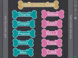 Customizable Dog Crate Tag (Parametric)