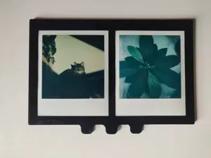 Polaroid 600 Scanmask