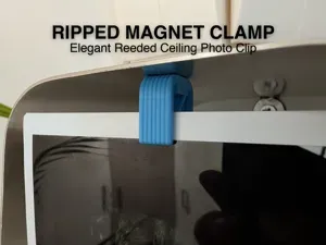Ripped Magnet Clamp Reeded Ceiling Photo Clip