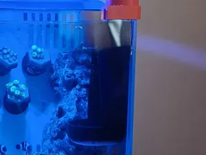 节约壁挂空间的鱼缸喂食器