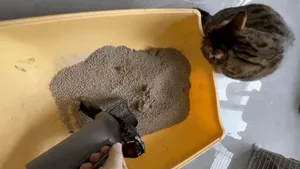 猫砂铲