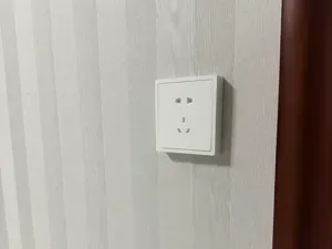 以假乱真！插座开关面板