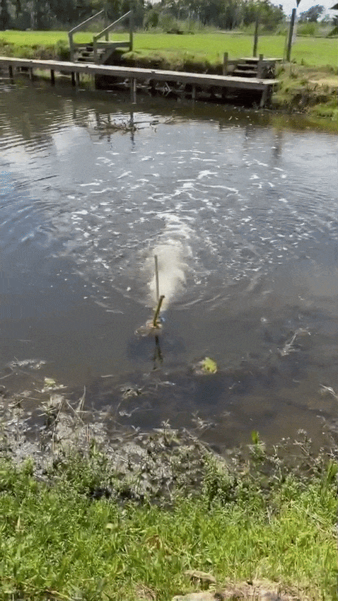 2" PVC Venturi Pond & Fish Aerator