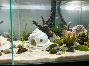 鱼缸造景 小鱼躲避屋 海螺屋造型  鱼缸置景 装饰