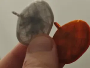 Amber Mosquito Pendant — Insect Inclusion