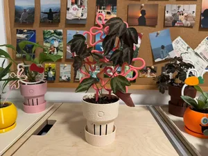 攀爬架|繁花