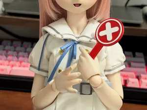 BJD手持对错牌