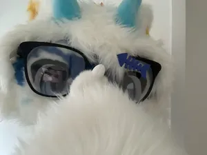 兽装眼镜,方圆眼镜
