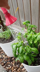 PET Watering Can/Camping Shower