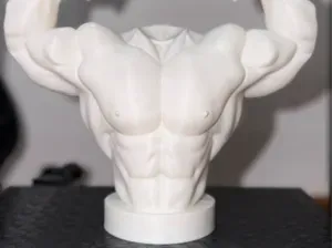 Muscle Man Torso