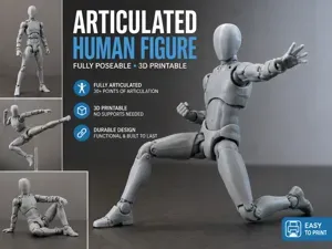 Articulated human figure