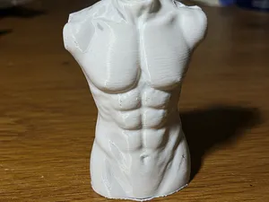 男性躯干-素描写生必备-道具