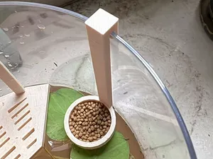 乌龟喂食平台