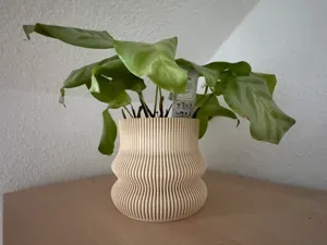 Ribbed Pot