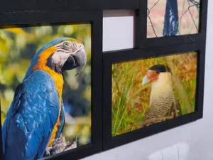 Moldura de foto 10 x 15 modular