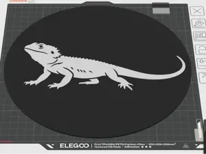 Bearded Dragon Round Wall Light Box