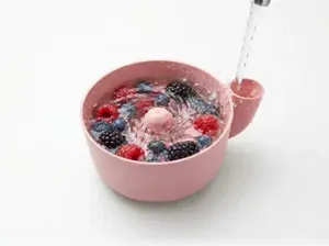 Fruit Washer Bowl - Water Powered Berry Cleaner